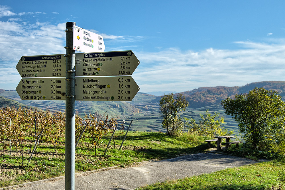 Kaiserstuhl Weinberge