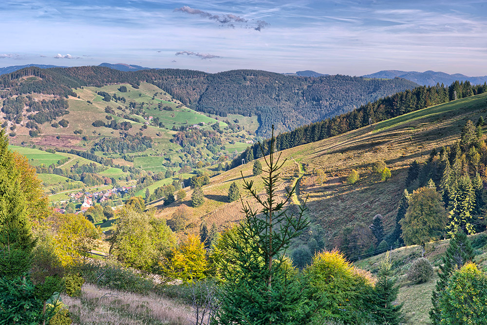 Schwarzwald Landschaft