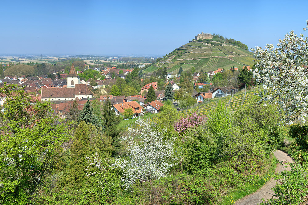 Staufen im Breisgau